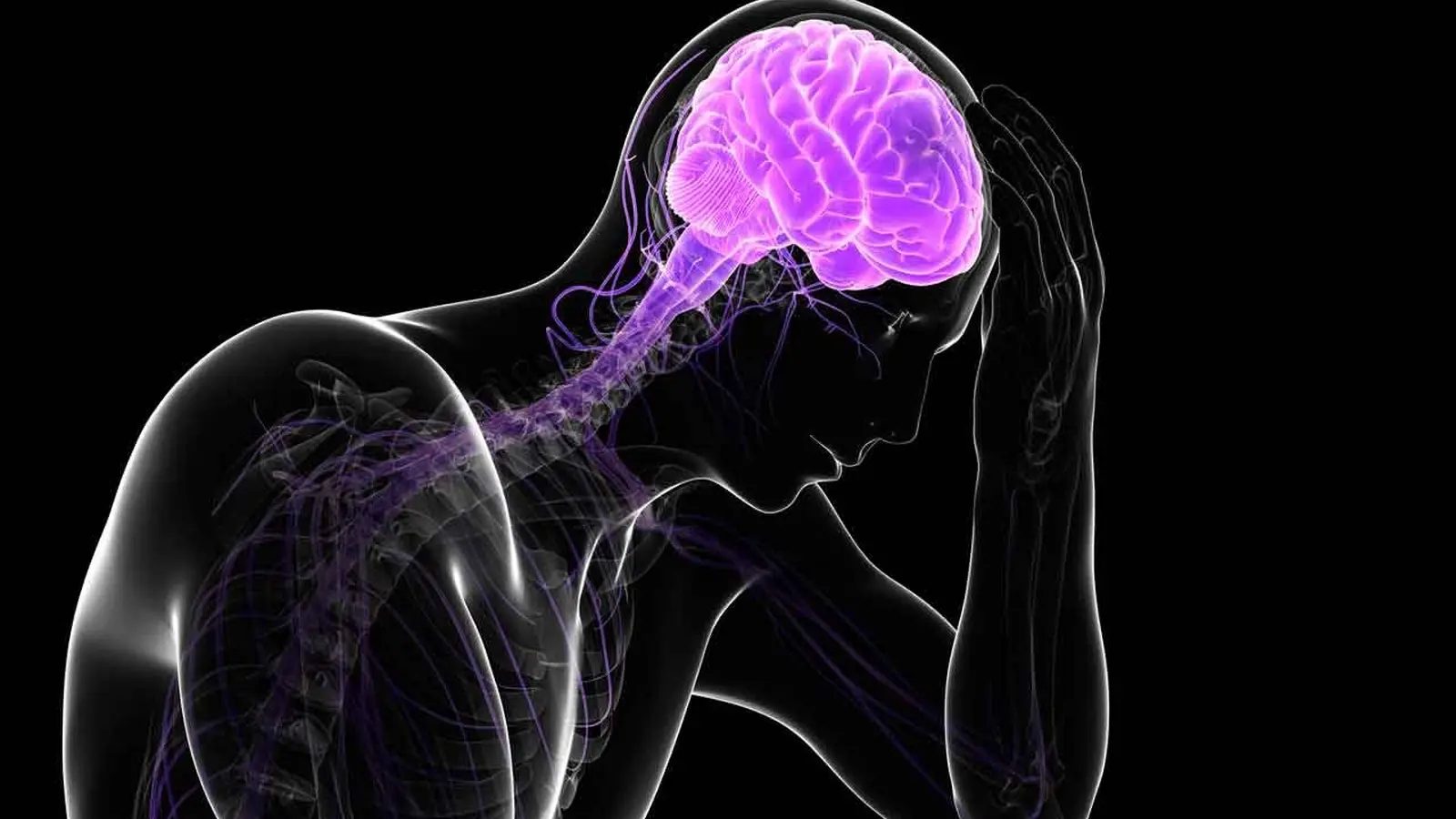 How Cortisol Rewires the Brain to Boost Emotional Memory