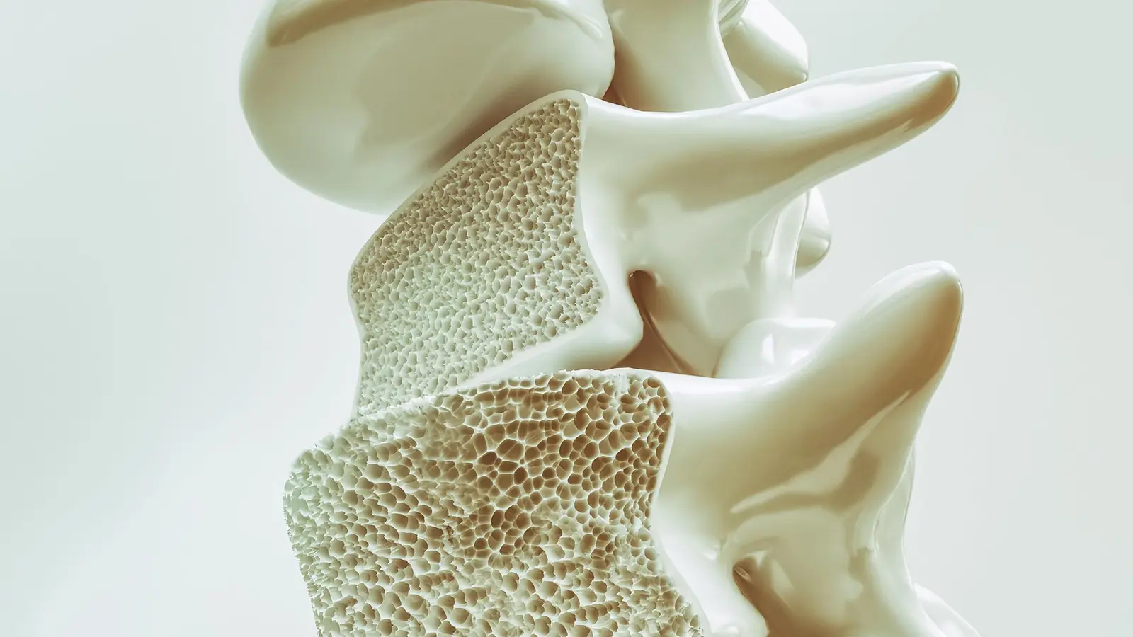 How Spine Bone Loss May Mirror Your Aging Brain and Mind