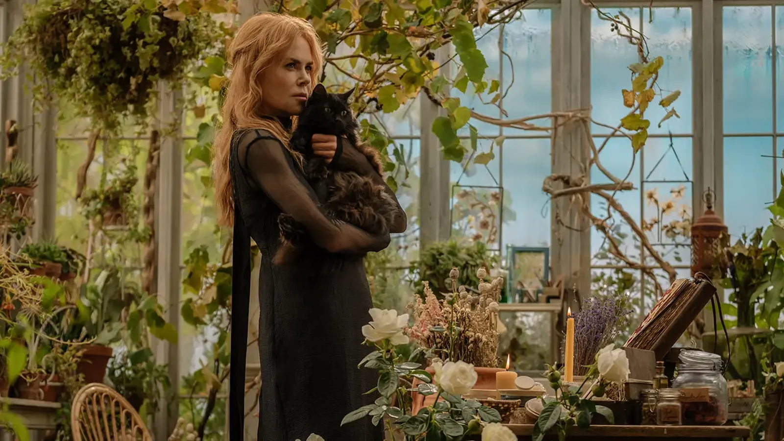 Practical Magic 2 Surprises Box Office, Tops Spider-Man
