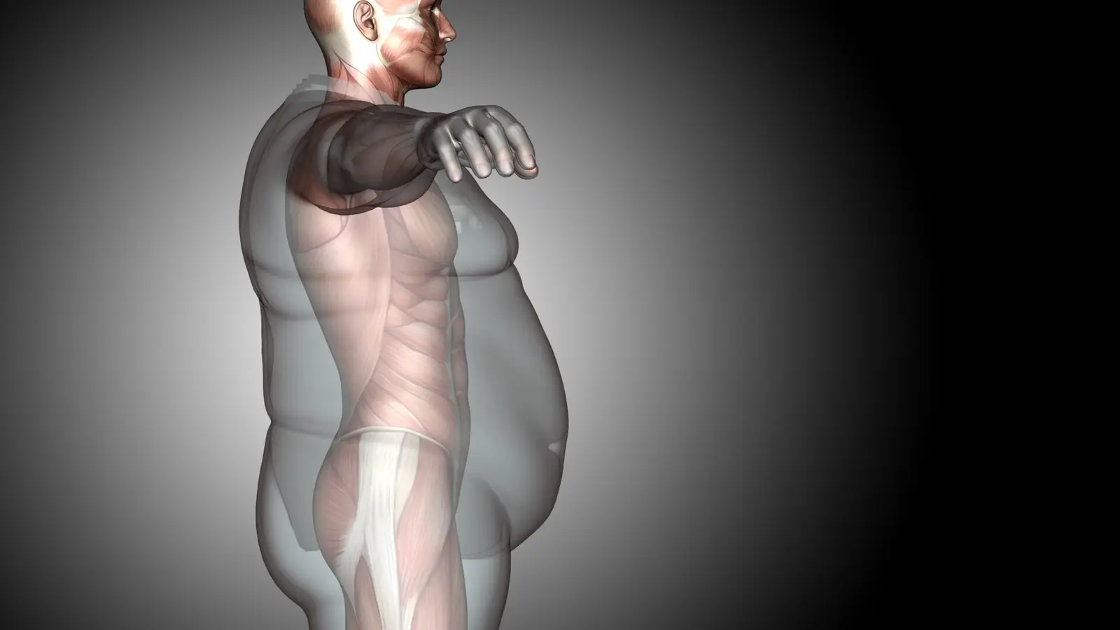 Where Does Fat Go When You Lose It? Most Leaves via Breath