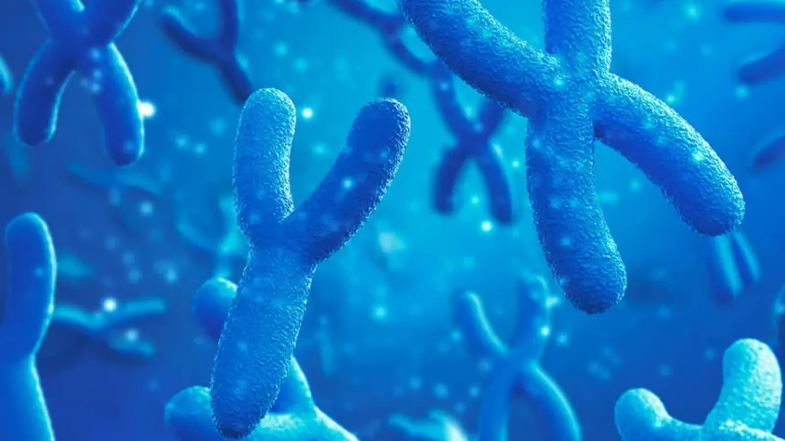 Loss of Y Chromosome May Signal Early Cancer Risk Worldwide