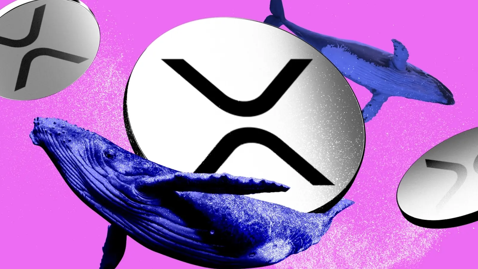 XRP Whale Outflows Reach Five-Year Low as Price Wavers