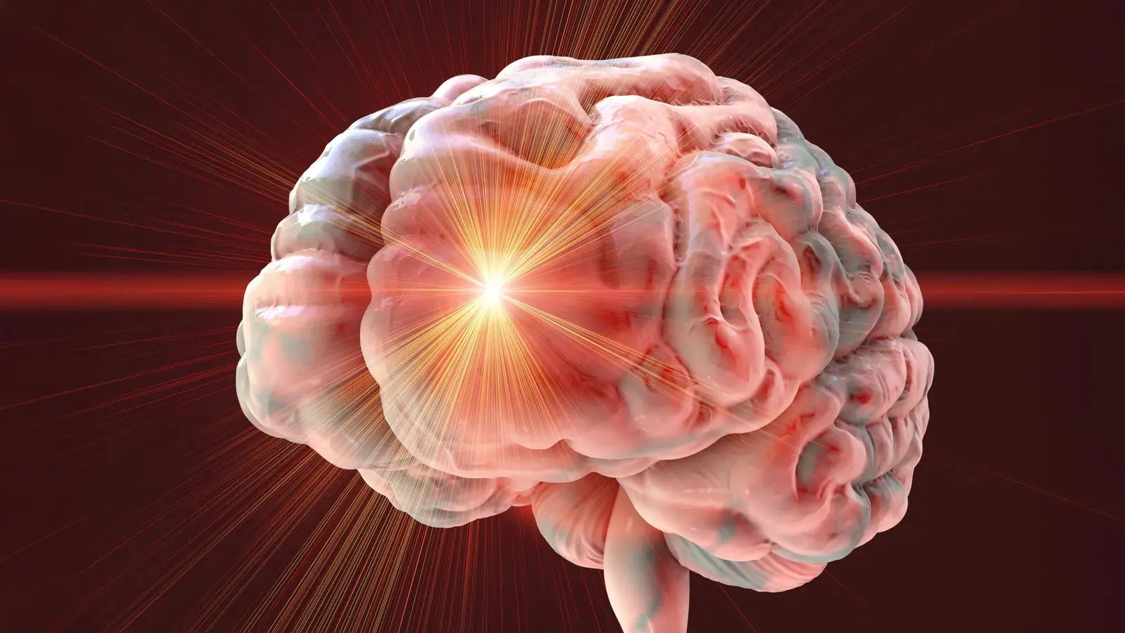 Brain Hormone May Explain Protein-Restriction Lifespan