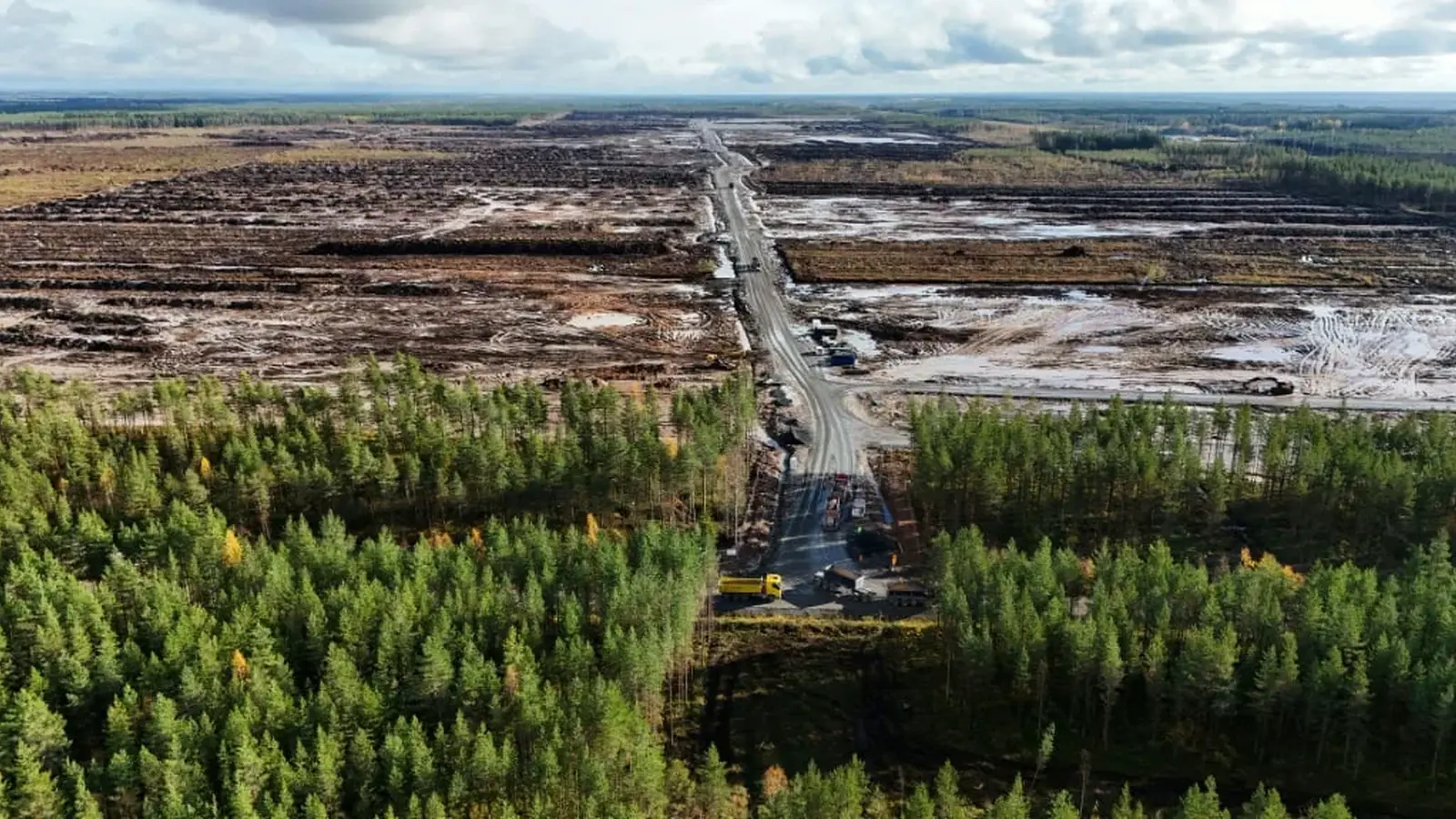 Google beschuldigt: Abholzung von 300 Hektar in Finnland