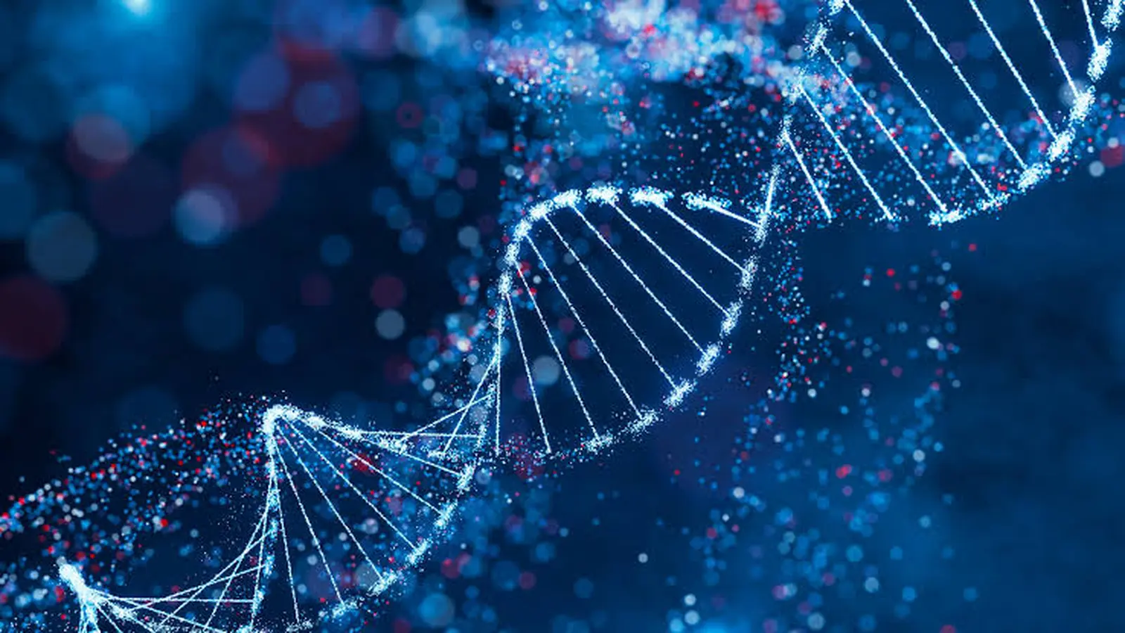 Eating 30% Less Slows DNA Damage Across Mouse Tissues
