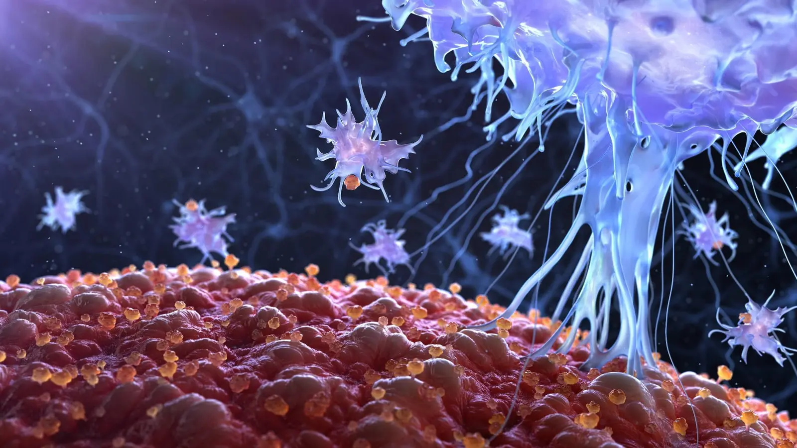 Hidden Cellular Trigger Fuels Chronic Inflammation