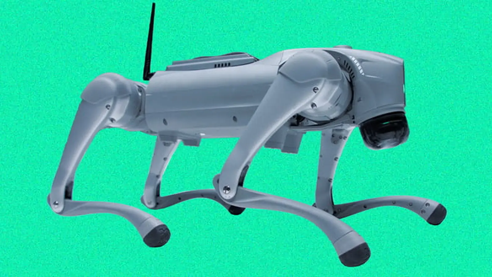 Robot Dog Driven by Lab-Grown Human Neurons, Explained