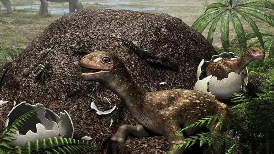 Titanosaurs Built Compost Incubators in Frozen Patagonia