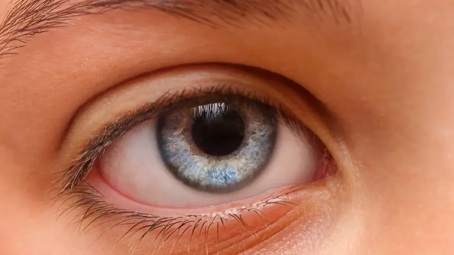 Tiny Pupil Fluctuations Hint at ADHD in Children, Study