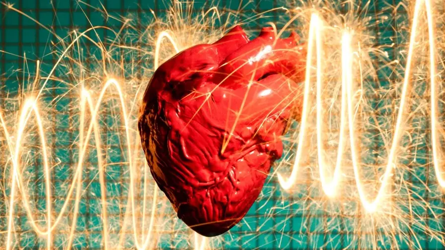 Everyday Stress Reshapes the Heart and Raises Stroke Risk