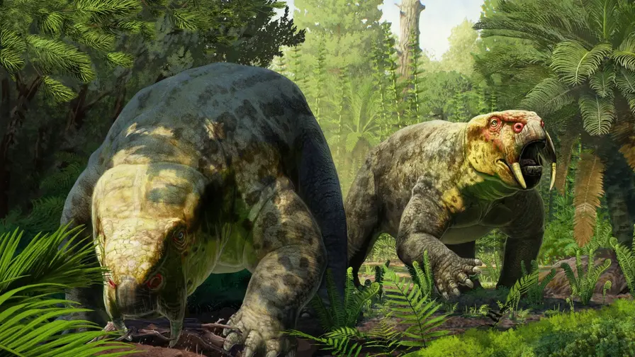 Tanzanian Fossil Reveals New Dinodontosaurus Species