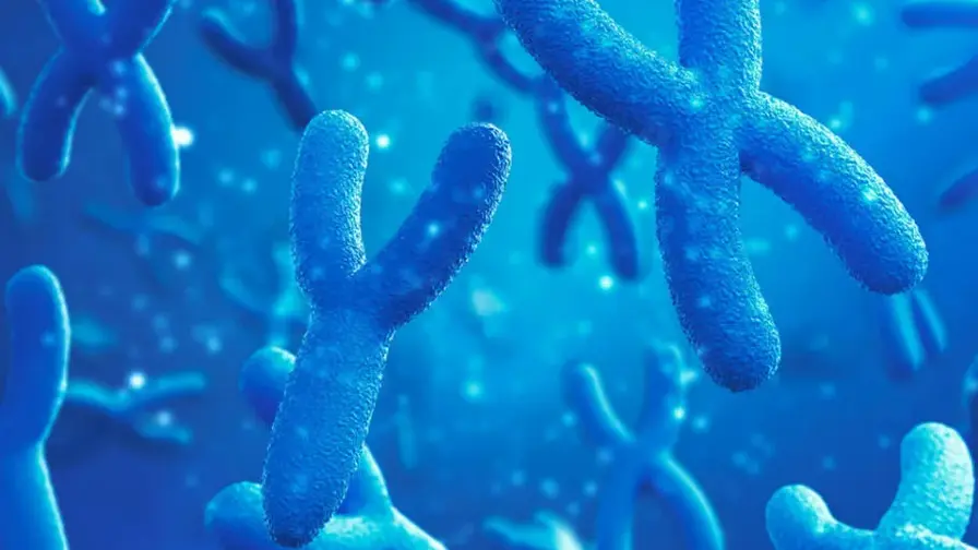 Loss of Y Chromosome May Signal Early Cancer Risk Worldwide
