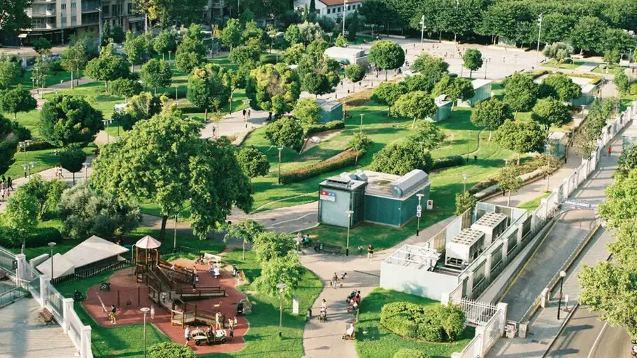 Living Near Green Spaces Cuts Dementia Risk by 20%