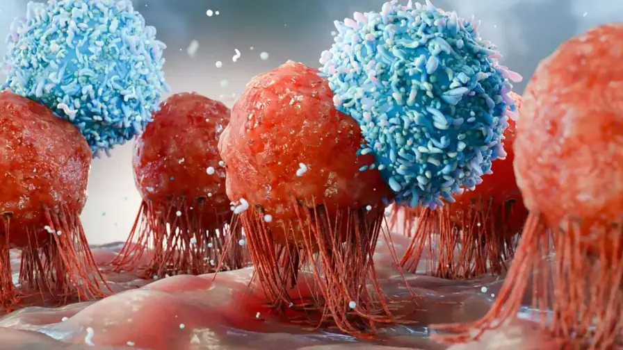 Common Chemicals May Subtly Prime Breast Tissue for Cancer