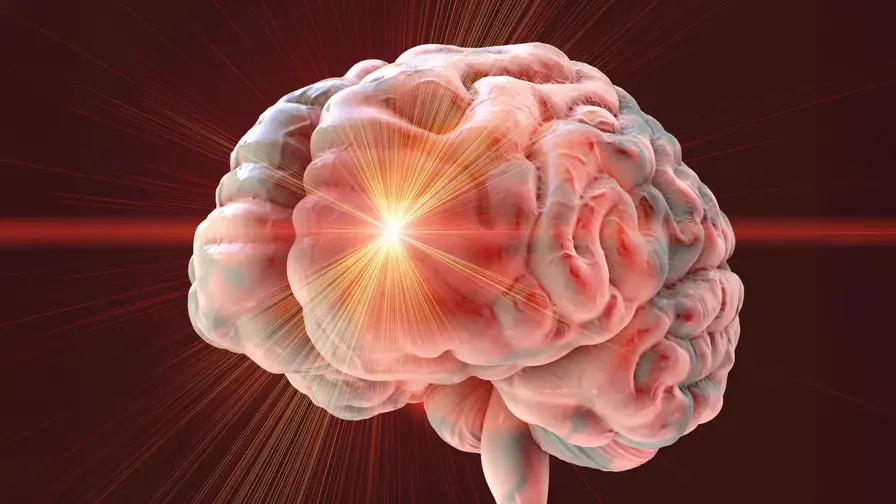 Brain Hormone May Explain Protein-Restriction Lifespan