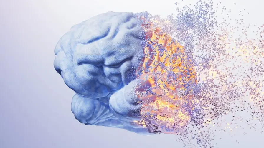 Alcohol Turns Immune Cells on the Brain's Scaffolding