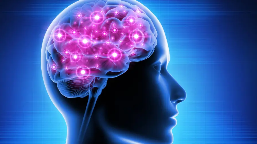 Why the Aging Brain Is Not Decline but a Shift in Focus