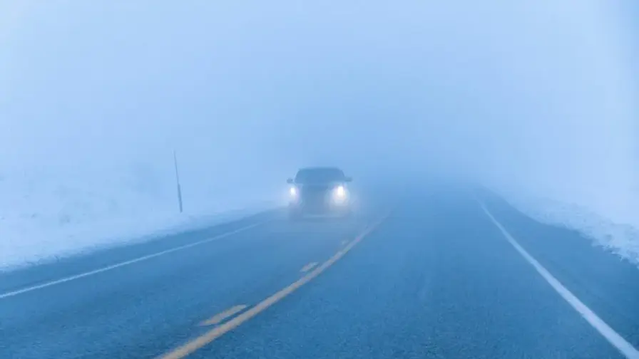 How a Brain-Inspired Camera Sees Through Thick Fog