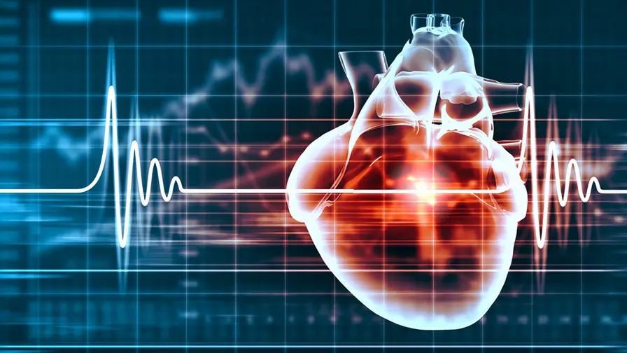 A Hidden ECG Signal Could Reveal Risk of Sudden Death
