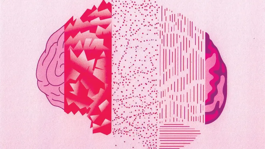 Menopause Doesn't Shrink the Brain, New MRI Study Finds