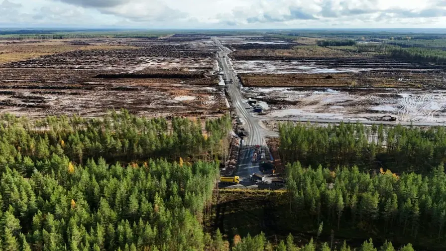 Google beschuldigt: Abholzung von 300 Hektar in Finnland