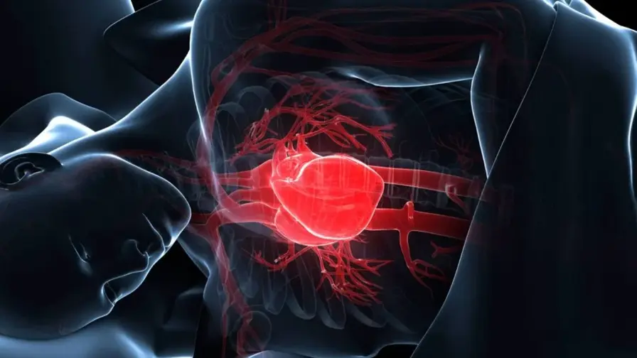 AI Reads Sleep ECGs to Forecast Heart Failure 10 Years
