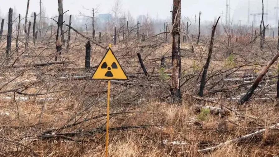 Chernobyl, 40 Years On: Particles Keep Their Crystal Core