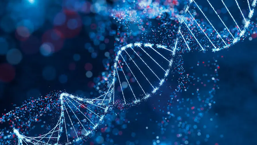 Eating 30% Less Slows DNA Damage Across Mouse Tissues