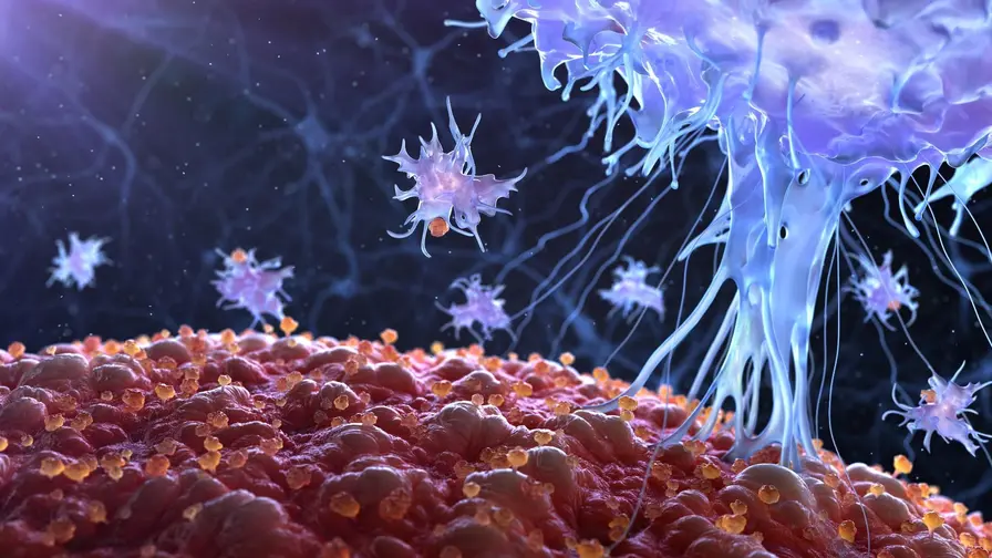 Hidden Cellular Trigger Fuels Chronic Inflammation