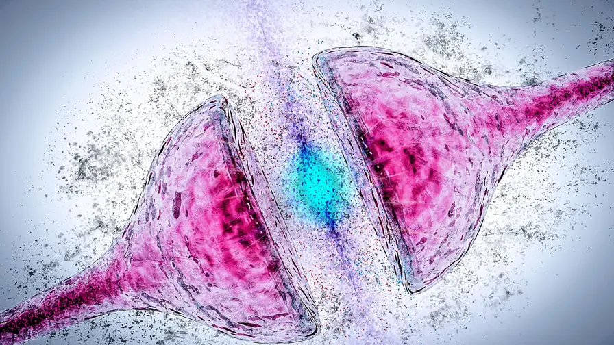Restoring Memory: One Protein Resets Brain Rhythms